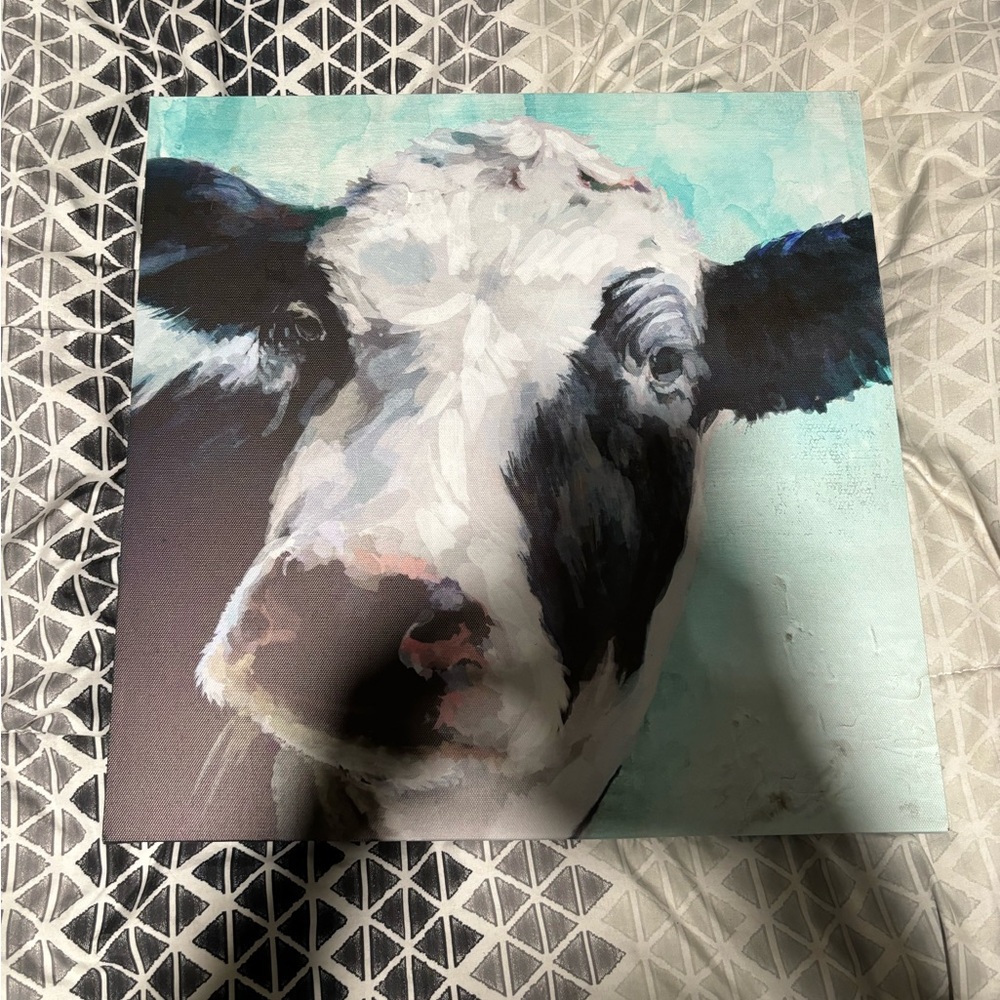 canvas